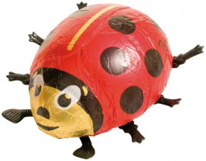 Ladybird
