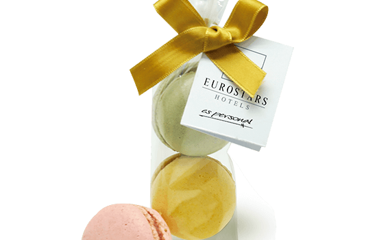 Ribbon bag with 2 macarons