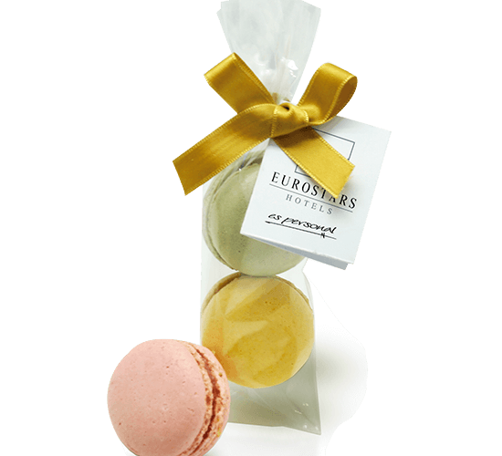 Ribbon bag with 2 macarons