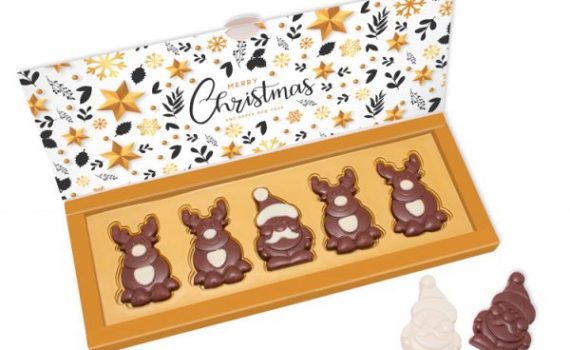 Santa and His Reindeers Set