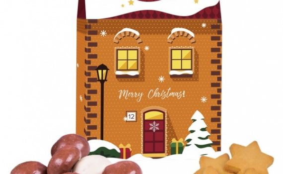 Micro Christmas Townhouse