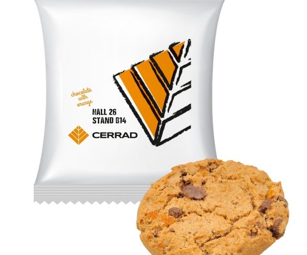 Oatmeal Cookie with orange and dark chocolate