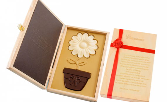 Chocolate Flower in Pot