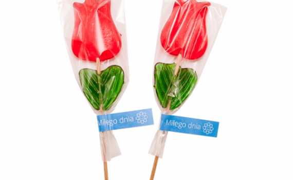 Tulip Lollipop