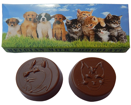 Chocolate 17g in a box -Animals