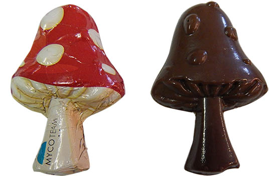 Chocolate Toadstool 15g