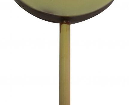 Lollipop with edible print