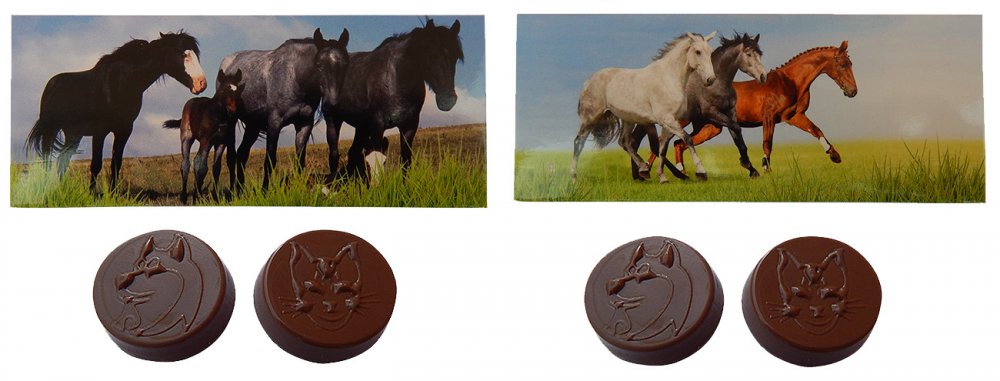 Chocolate 17g in a box - Horses