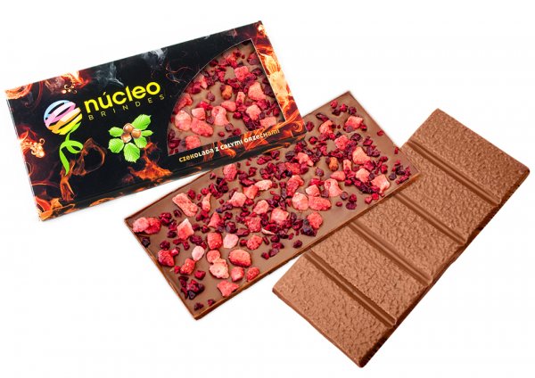 Large chocolates with lyophilized fruit bits 110 g