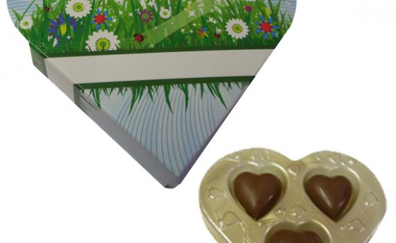 Promotion Heart in blister pack 24g - butterflies