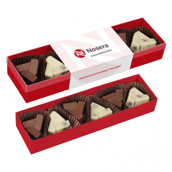 Chocolates with cranberries and hazelnuts 6 pcs